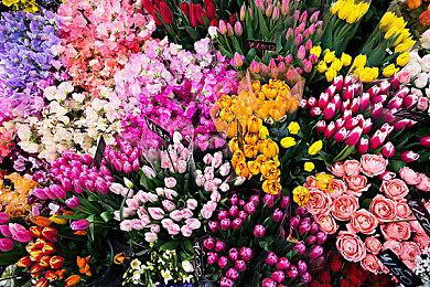 开发者透露《2XKO》首发英雄数量并不多：只有10个