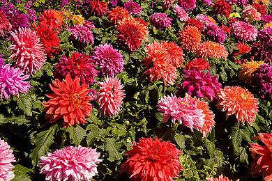 《燕云十六声》官方介绍傩面具 光怪陆离好吓人