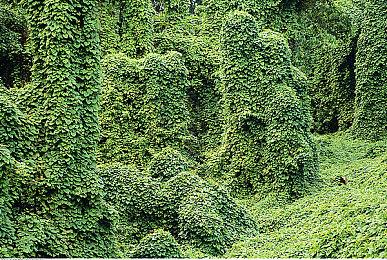 《Tunic》即将登陆PS4和PS5平台 最新预告片赏