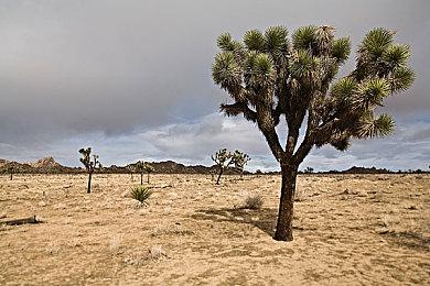 育碧原计划未来5年发售10款《刺客信条》游戏